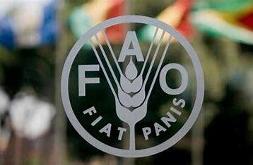 Logo de FAO, partenaire de NOAMER
