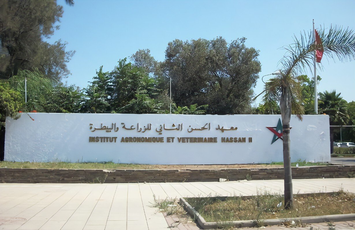 Logo de IAV Hassan II, partenaire de NOAMER